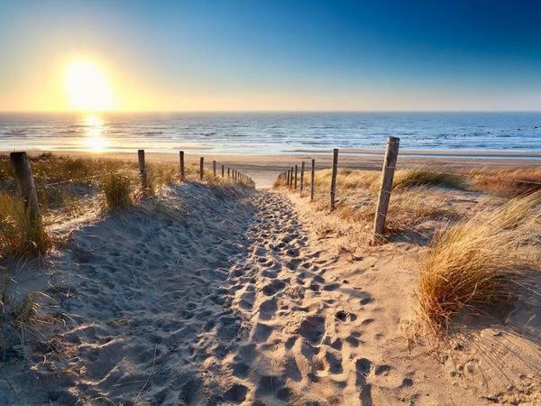 Seastay Noordwijk Eksteriør billede